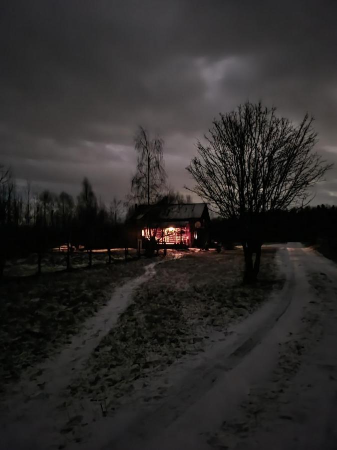 Musketeers Cabin Porumbacu de Sus Eksteriør billede