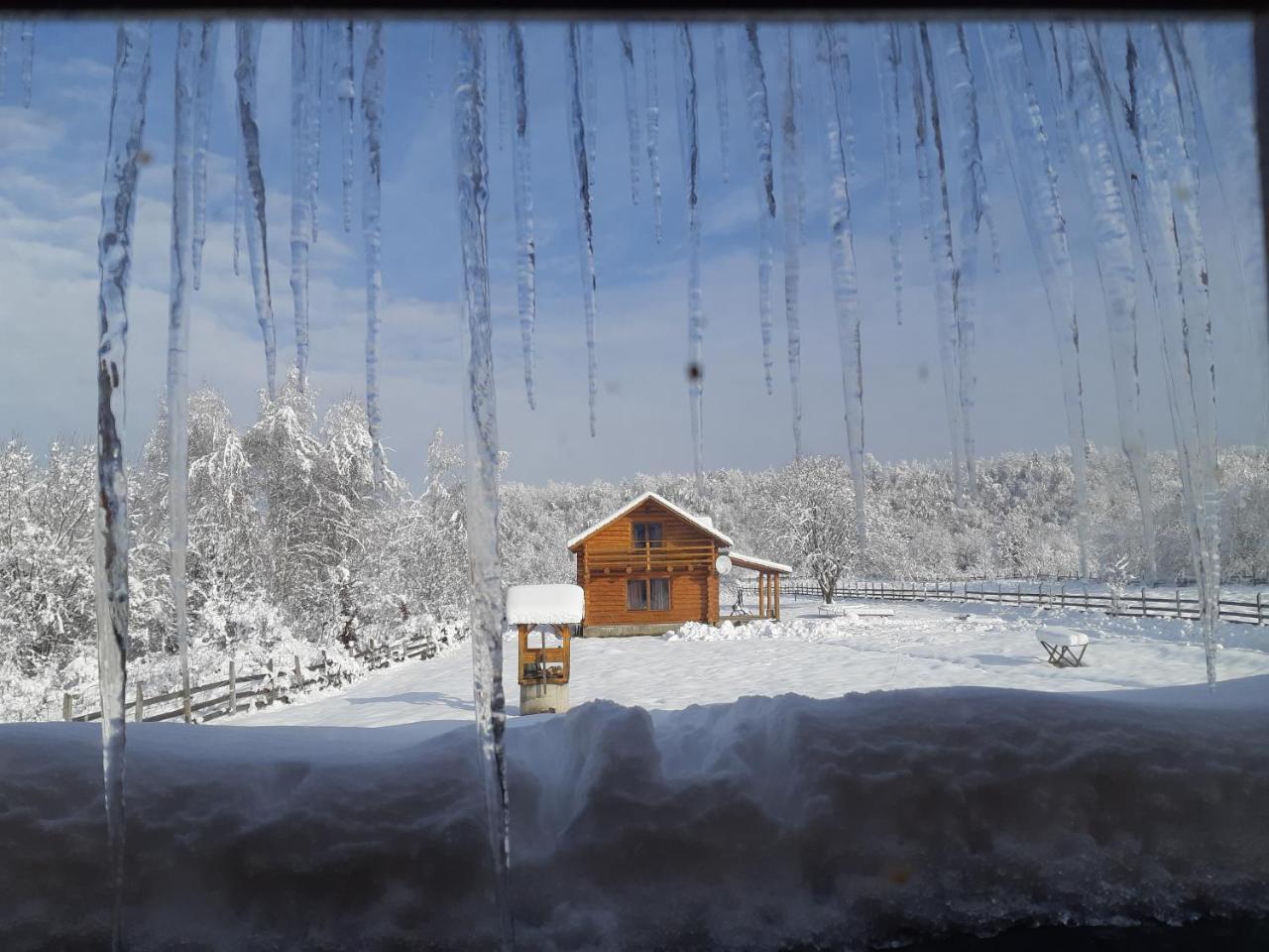Musketeers Cabin Porumbacu de Sus Eksteriør billede