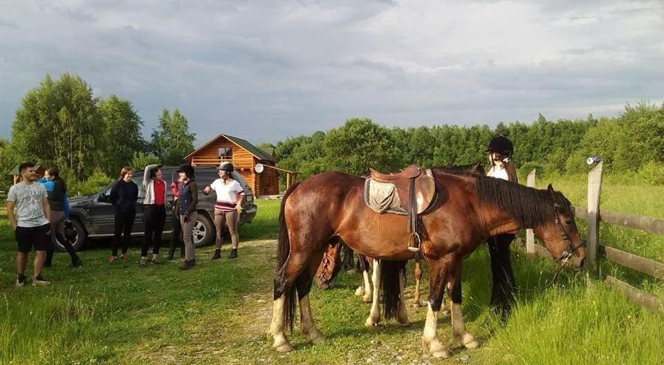 Musketeers Cabin Porumbacu de Sus Eksteriør billede